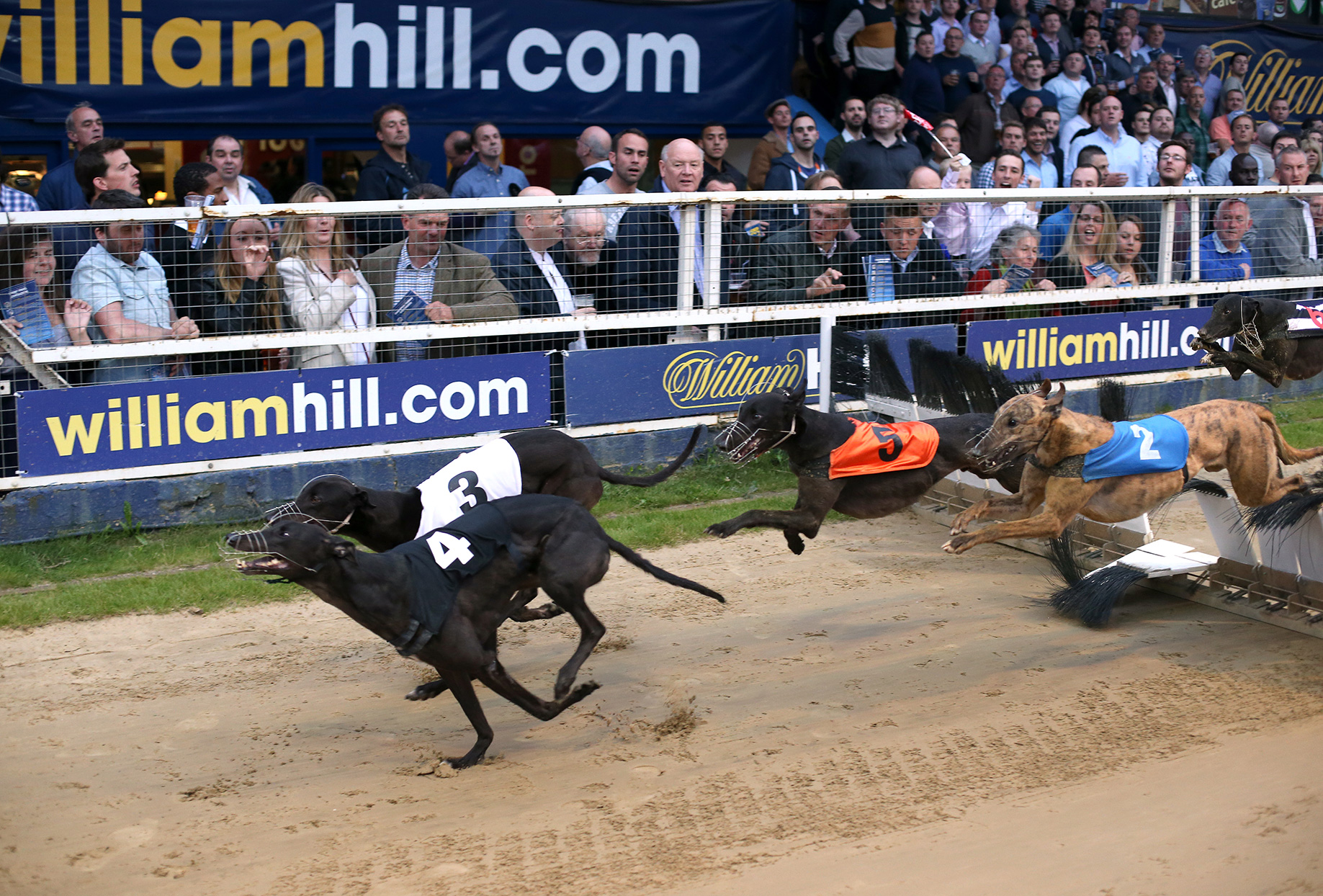 William Hill to close 700 shops with 4 500 jobs at risk EGR Intel